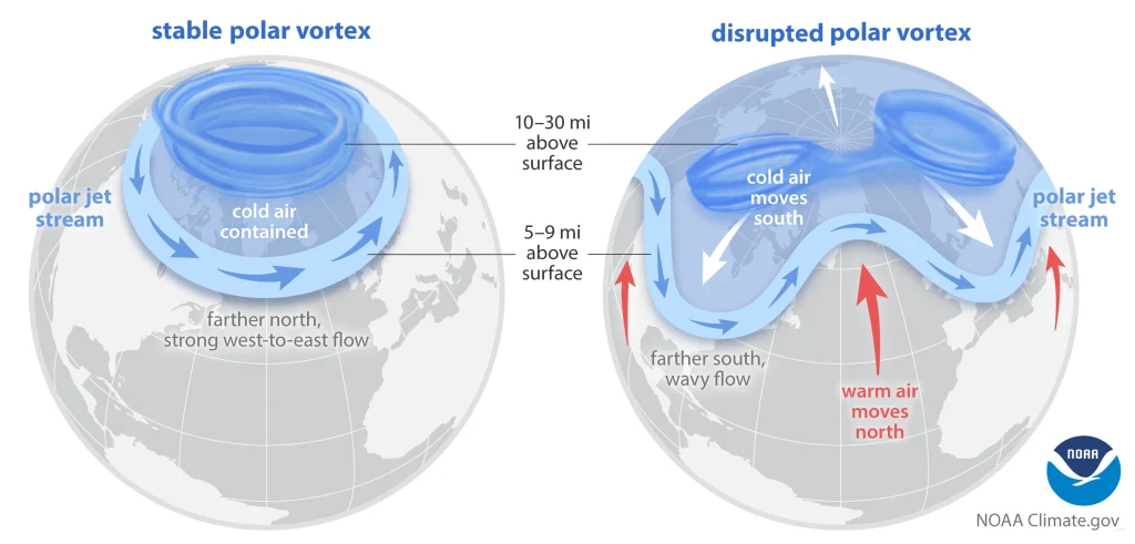 Stable and disrupted polar vortex
